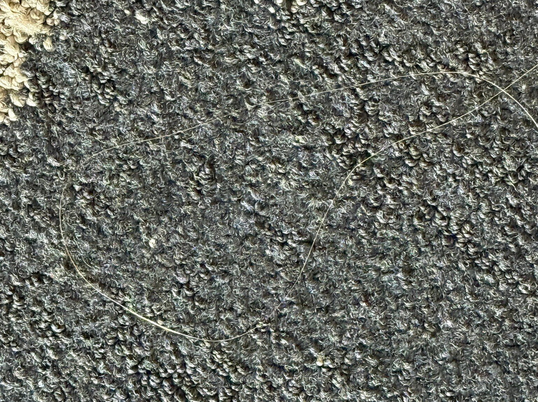 The Trade, Autograph Collection主图