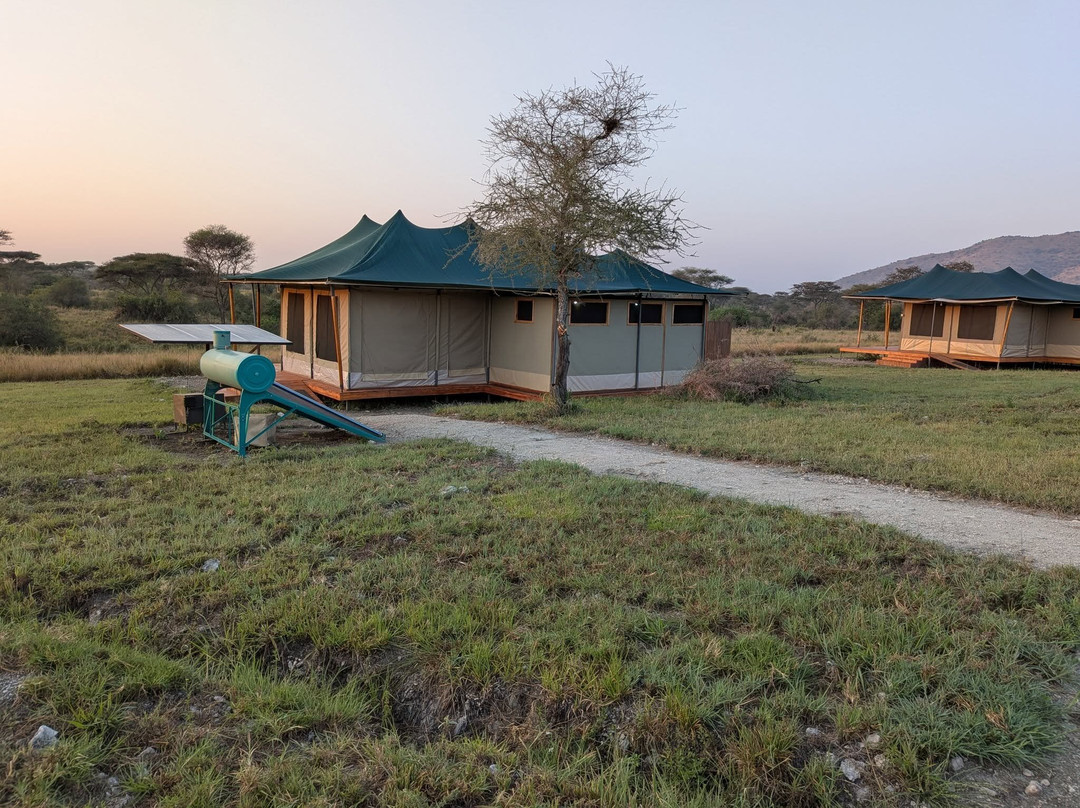 Carnivores Safaris Limited-阿鲁沙必去景点