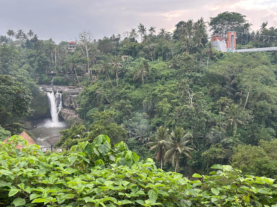 Bali Experienced Driver-吉安雅必去景点