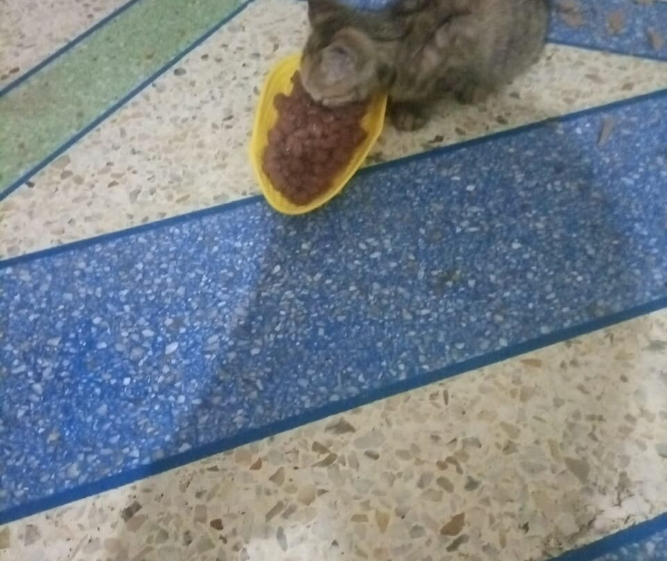 Bella Trips Marsa Alam-马萨阿拉姆必去景点