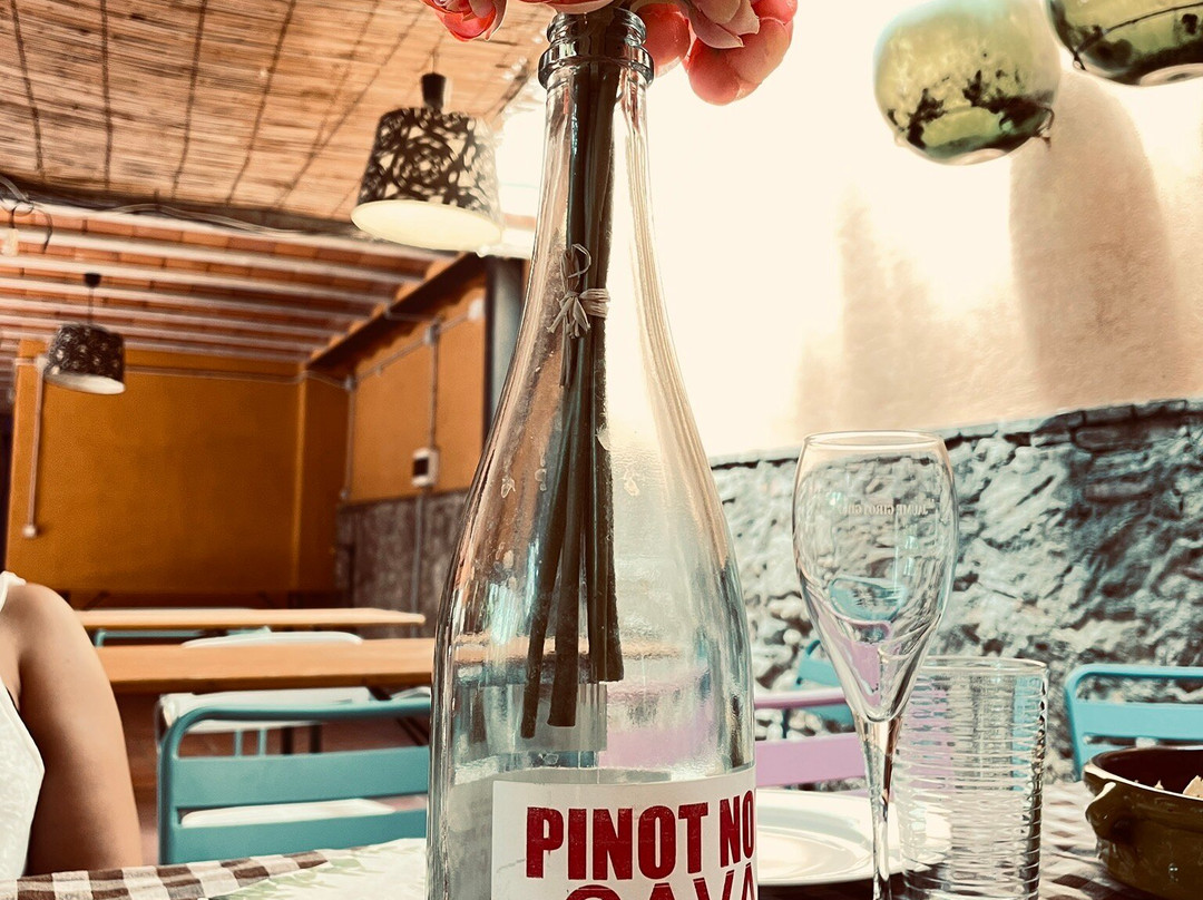 Cava Jaume Giro i Giro-桑特萨杜尔尼达诺亚必去景点