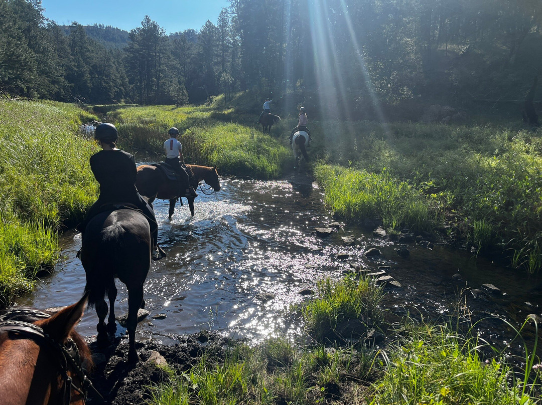 Blue Bell Stables-卡斯特必去景点
