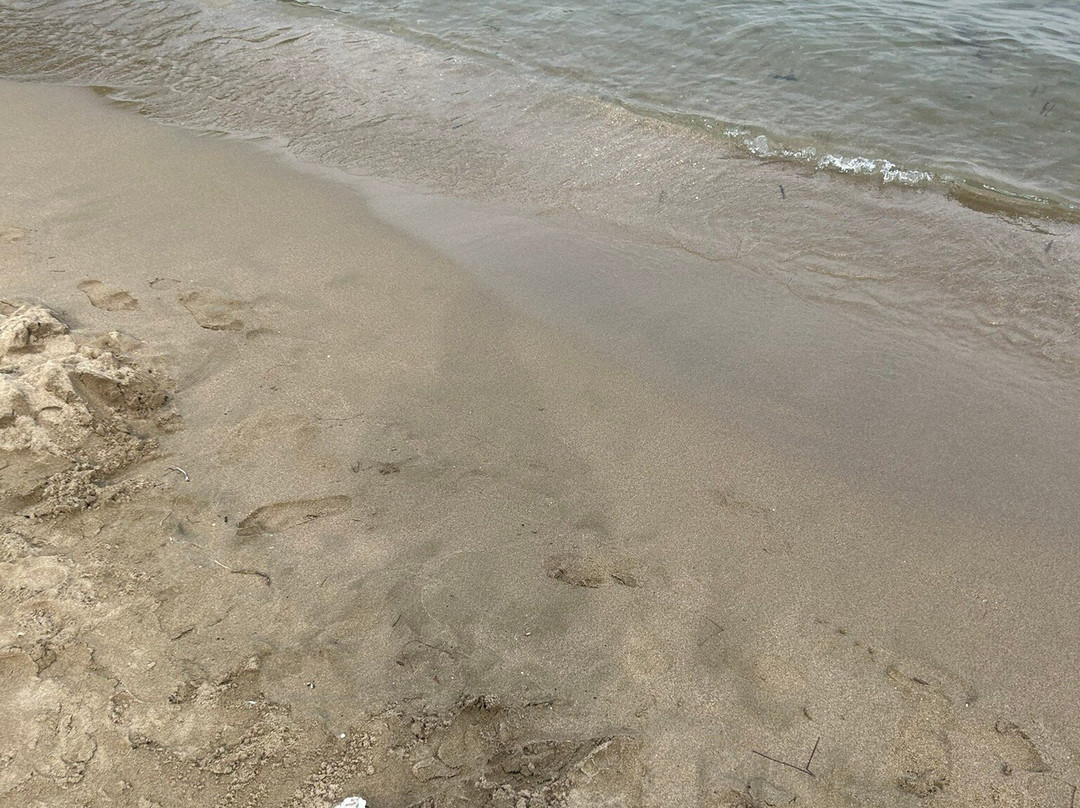 Sunj Beach-罗帕德必去景点
