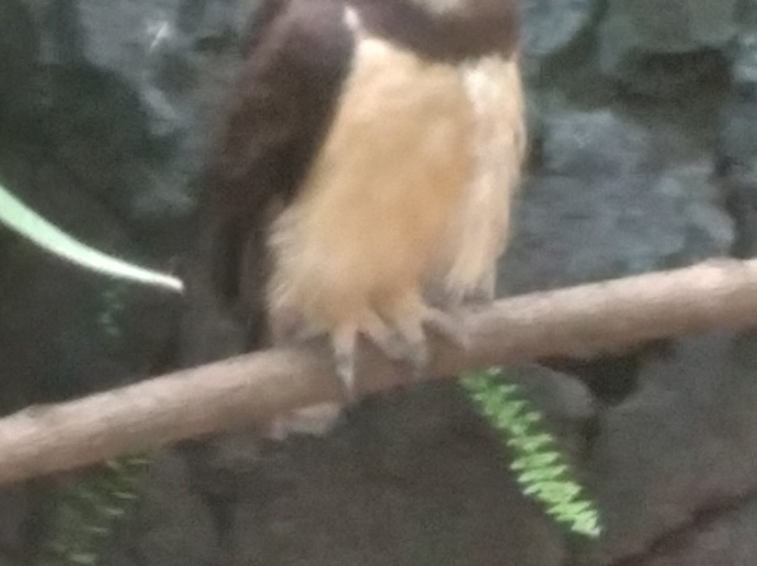 莽卡加西亚-贝伦必去景点