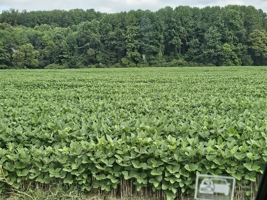 Boxwood Farms-Bel Air必去景点