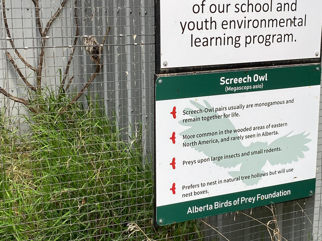 Alberta Birds of Prey Visitor's Centre-Coaldale必去景点