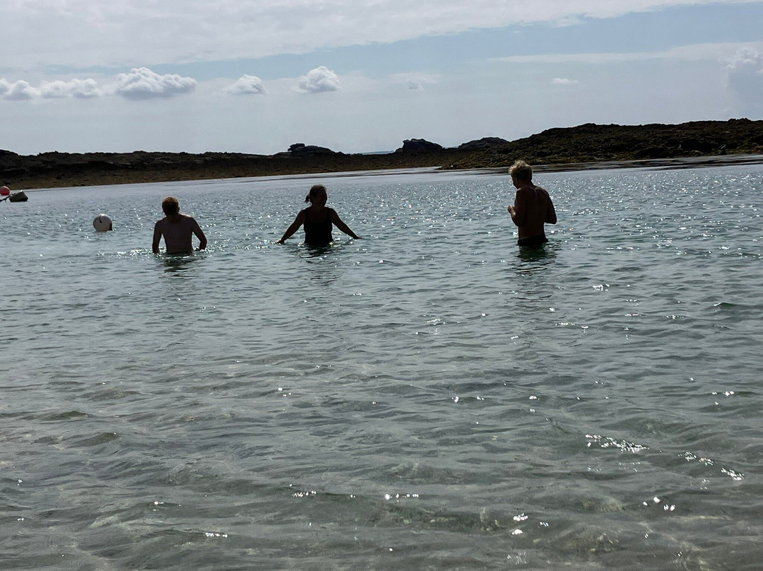 Island RIB Voyages-St Catherine's必去景点