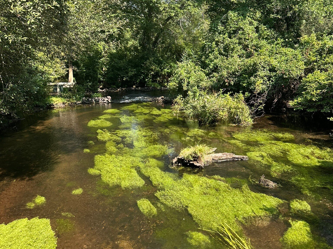 Connetquot River State Park Preserve-Bohemia必去景点
