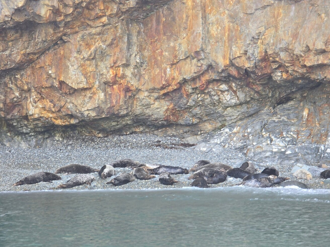 Voyages of Discovery (Ramsey Island)-St. Davids必去景点