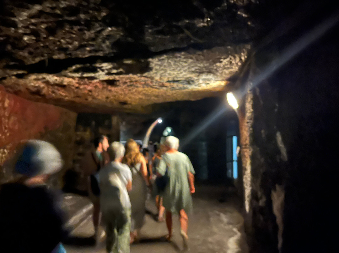 Caves Bouvet-Ladubay-梭缪尔必去景点