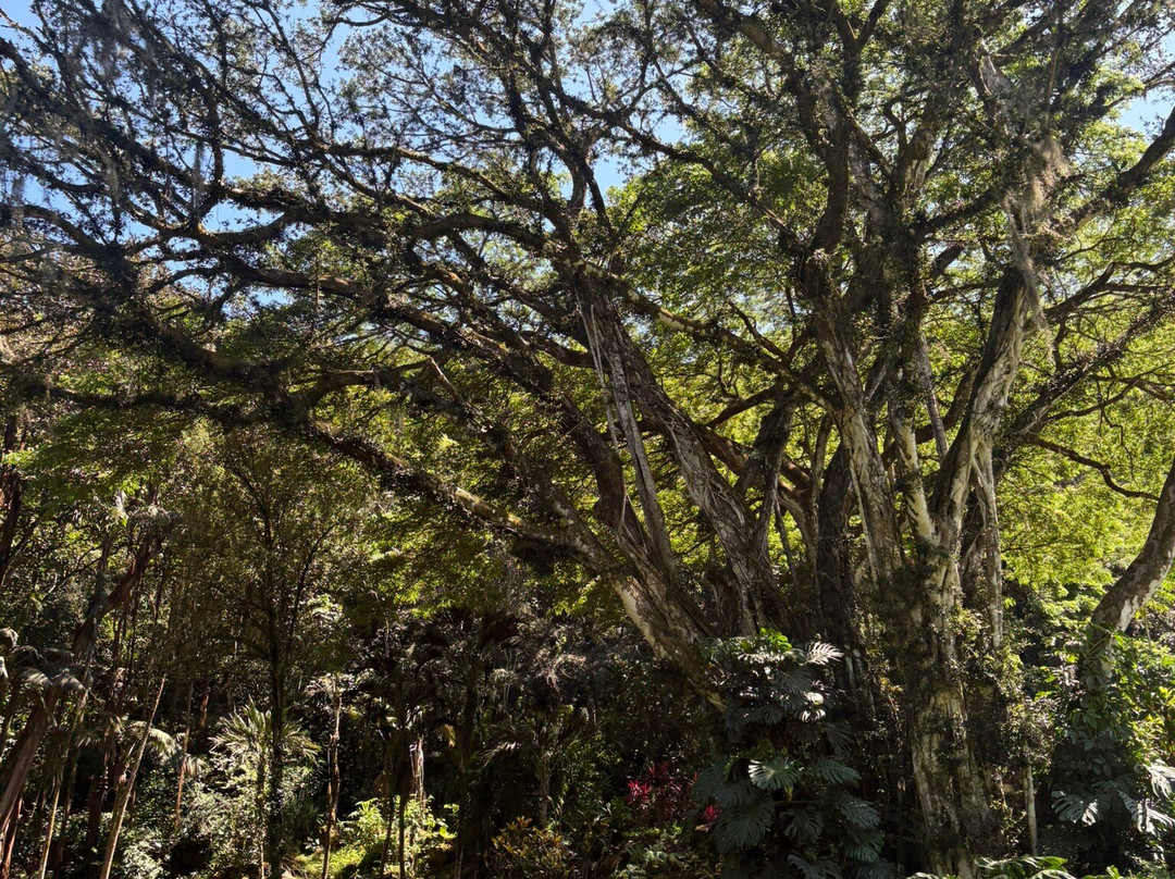 Waimea Falls-Pupukea必去景点