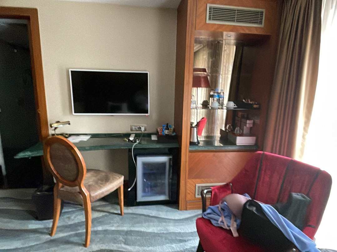 Warwick Ankara主图