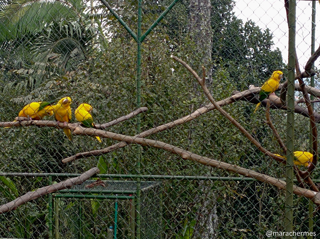 Parque Zoobotanico de Brusque-Brusque必去景点