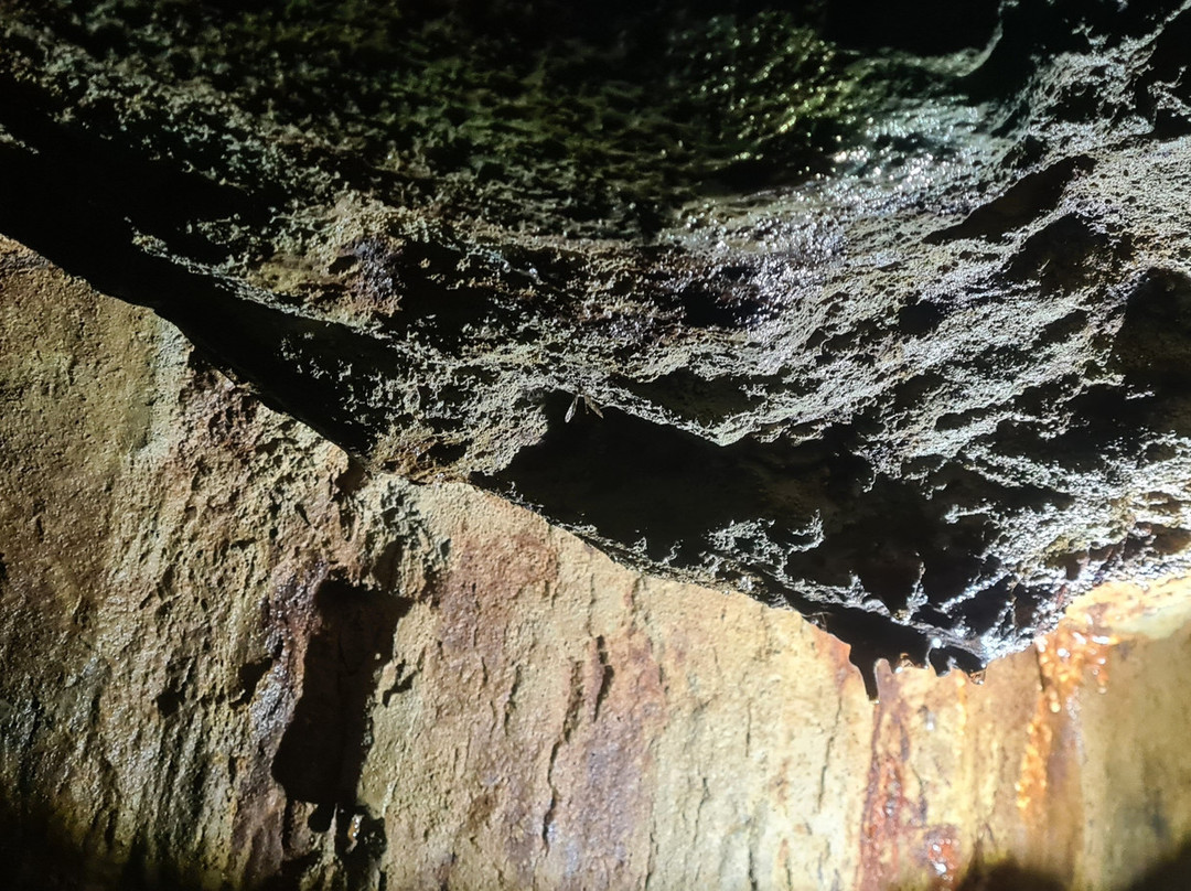 Quinta das Minas da Recheira-Covilha必去景点