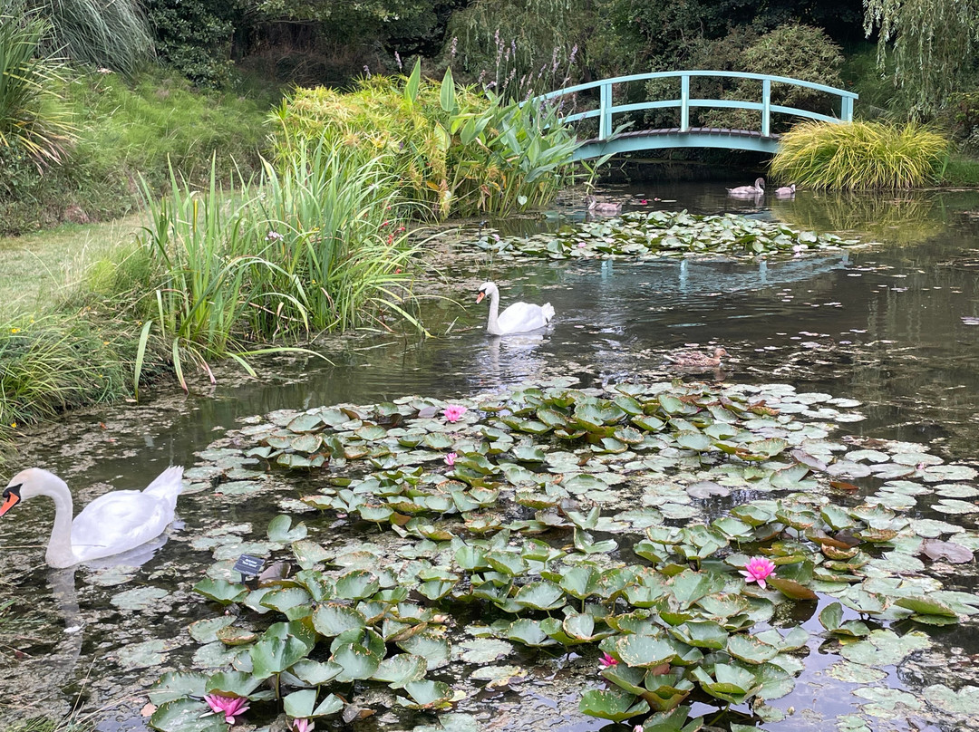 Bennetts Water Gardens-Chickerell必去景点