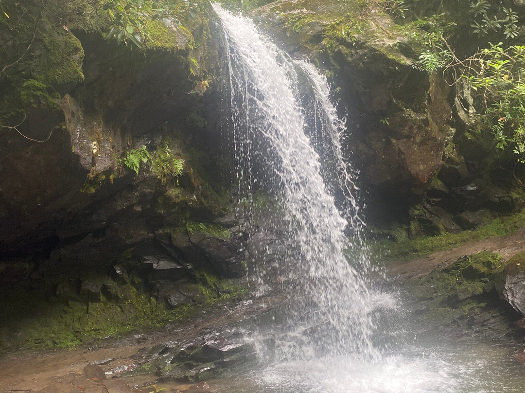 Grotto Falls Trail-大雾山国家公园必去景点