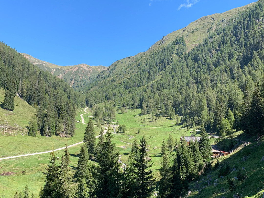 Escursione Estiva: Malga San Silvestro e Cappella di San Silvestro-多比亚科必去景点