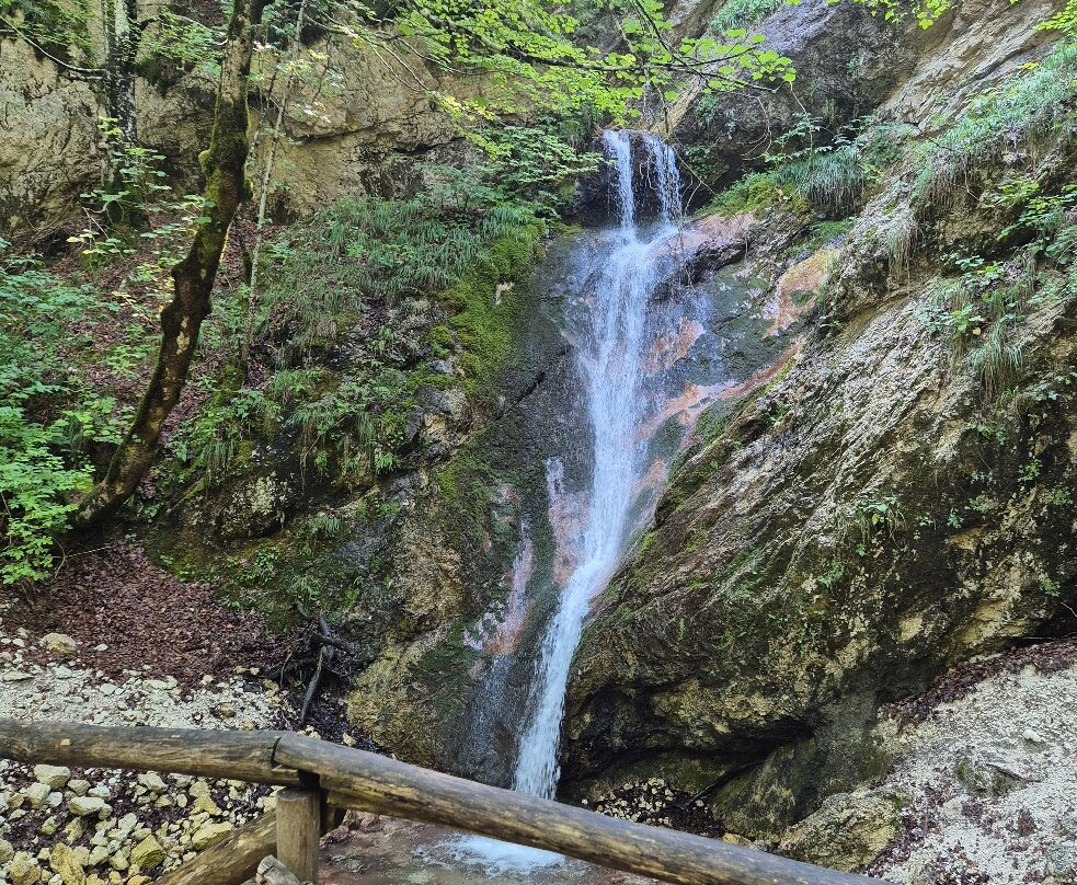 La Camosciara-Civitella Alfedena必去景点