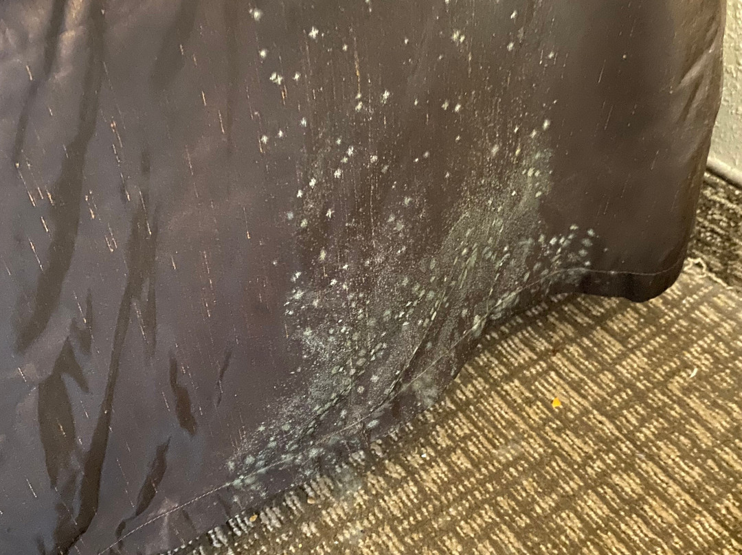 Comfort Inn Festus主图