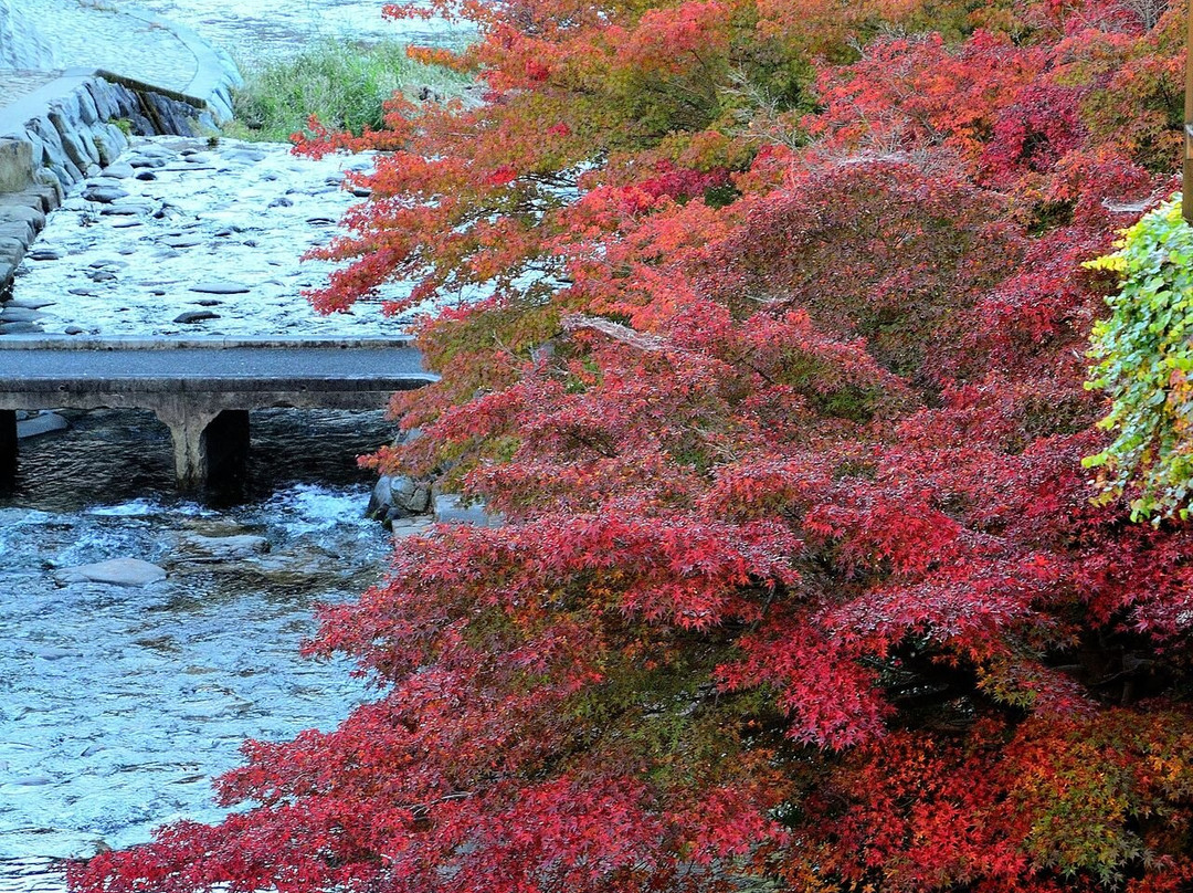 下吕温泉-下吕市必去景点