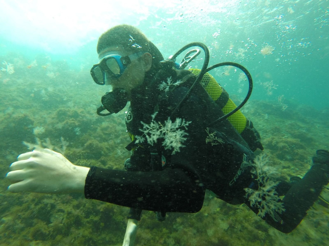 Dive Inn-Villaverde必去景点