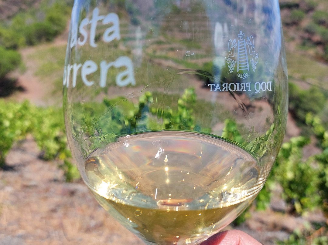 ALVAREZ DURAN PRIORAT-Porrera必去景点