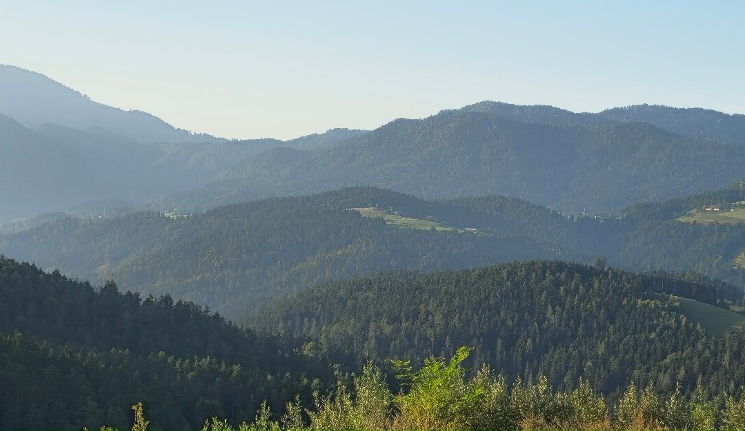 Gostisce Marin-Miler主图