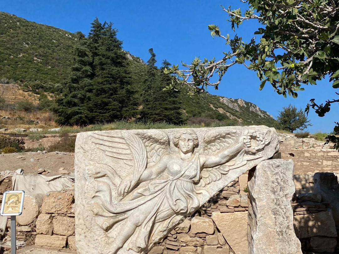 Felicia Travel-迪迪姆必去景点