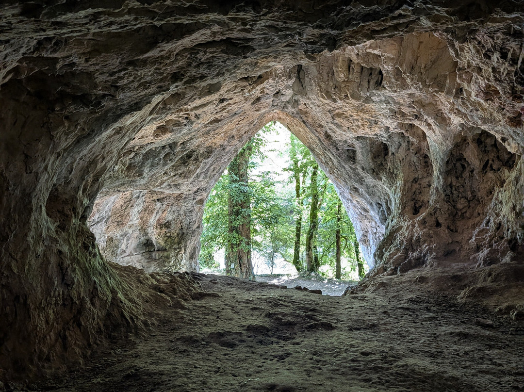 Grottes d'Arcy-sur-Cure-Arcy-sur-Cure必去景点