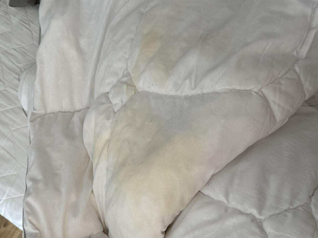 Hotel Mestia Inn主图