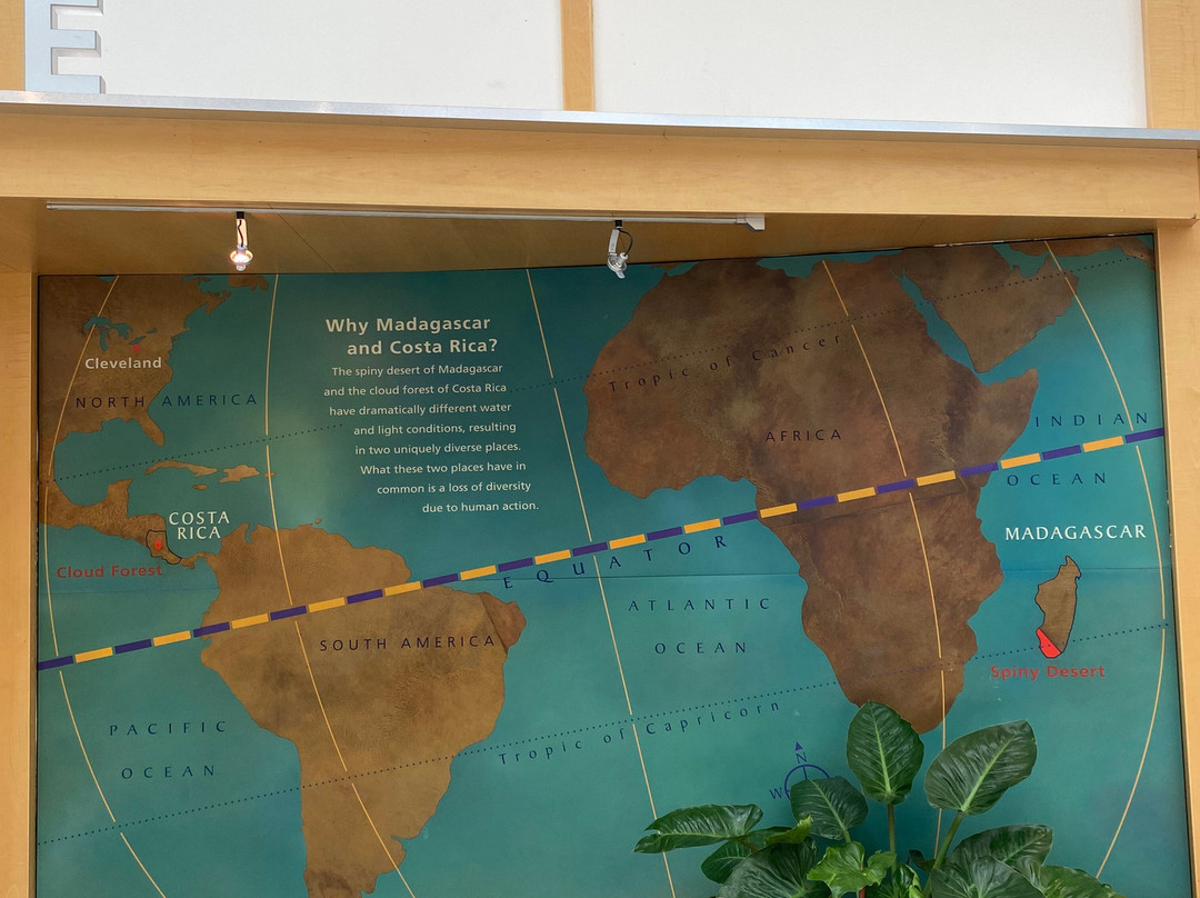 克里夫兰热带花园-克利夫兰必去景点