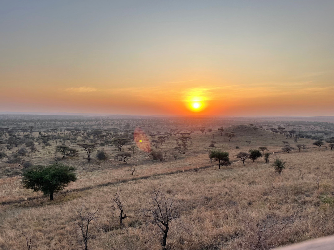 Mberesero Serengeti Central Lodge