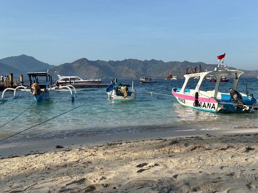 Oceans 5 Dive Gili Air-Gili Air必去景点