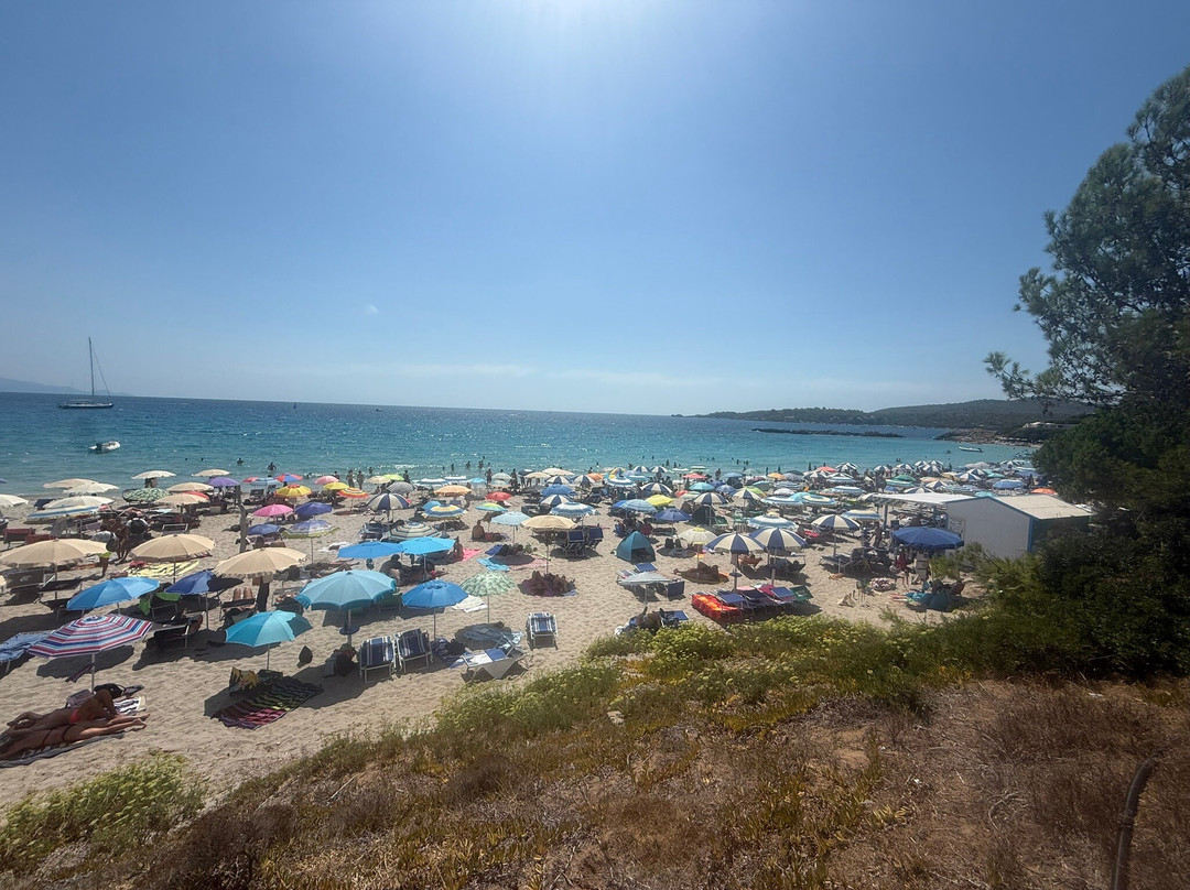 J&B Le Bombarde Beach Club-阿尔盖罗必去景点