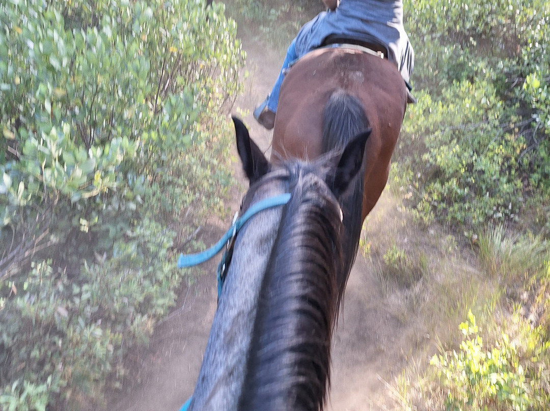 Ya-Hoo Corrals-McCall必去景点