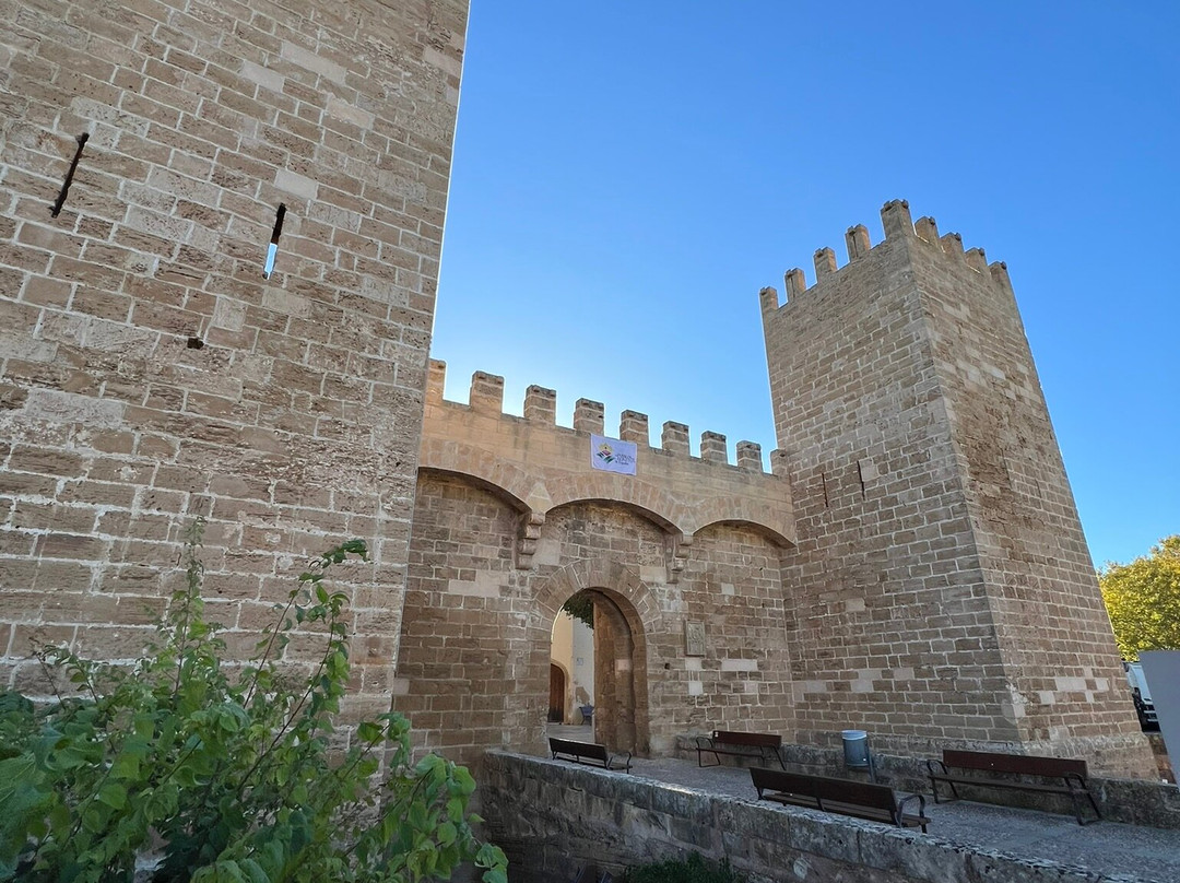 Murada Medieval D'alcúdia-阿库迪亚必去景点