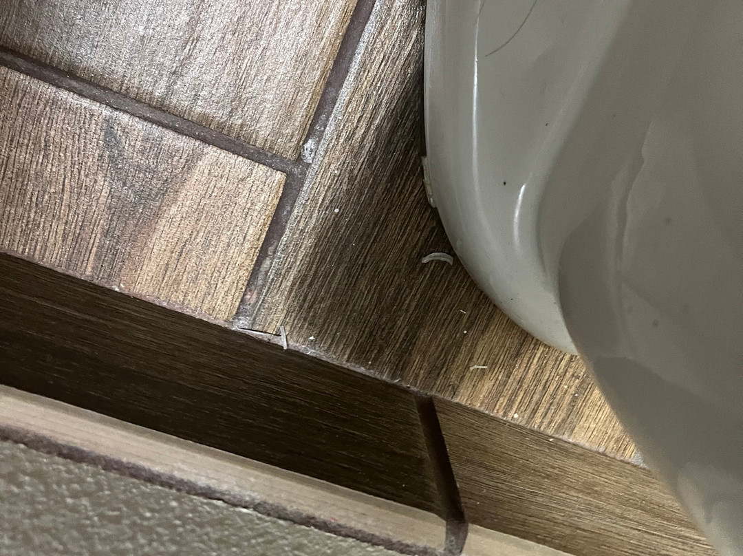 TownePlace Suites by Marriott Hot Springs主图