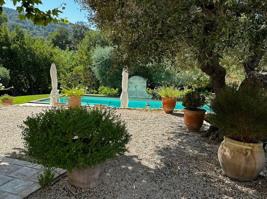 Bastide De Fontvieille主图