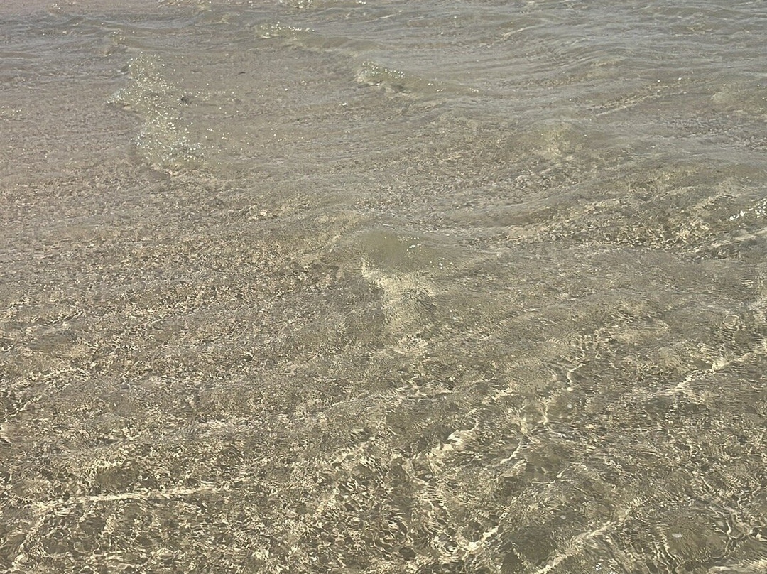 Lagoa das Andorinhas-Santo Amaro do Maranhao必去景点