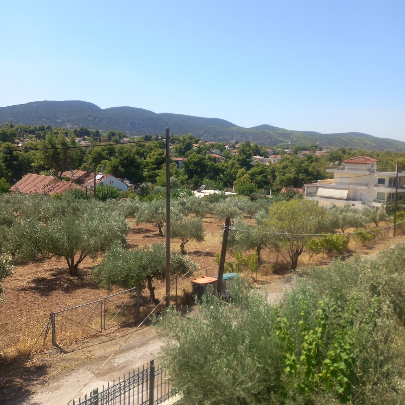 Paradise Hotel-官方