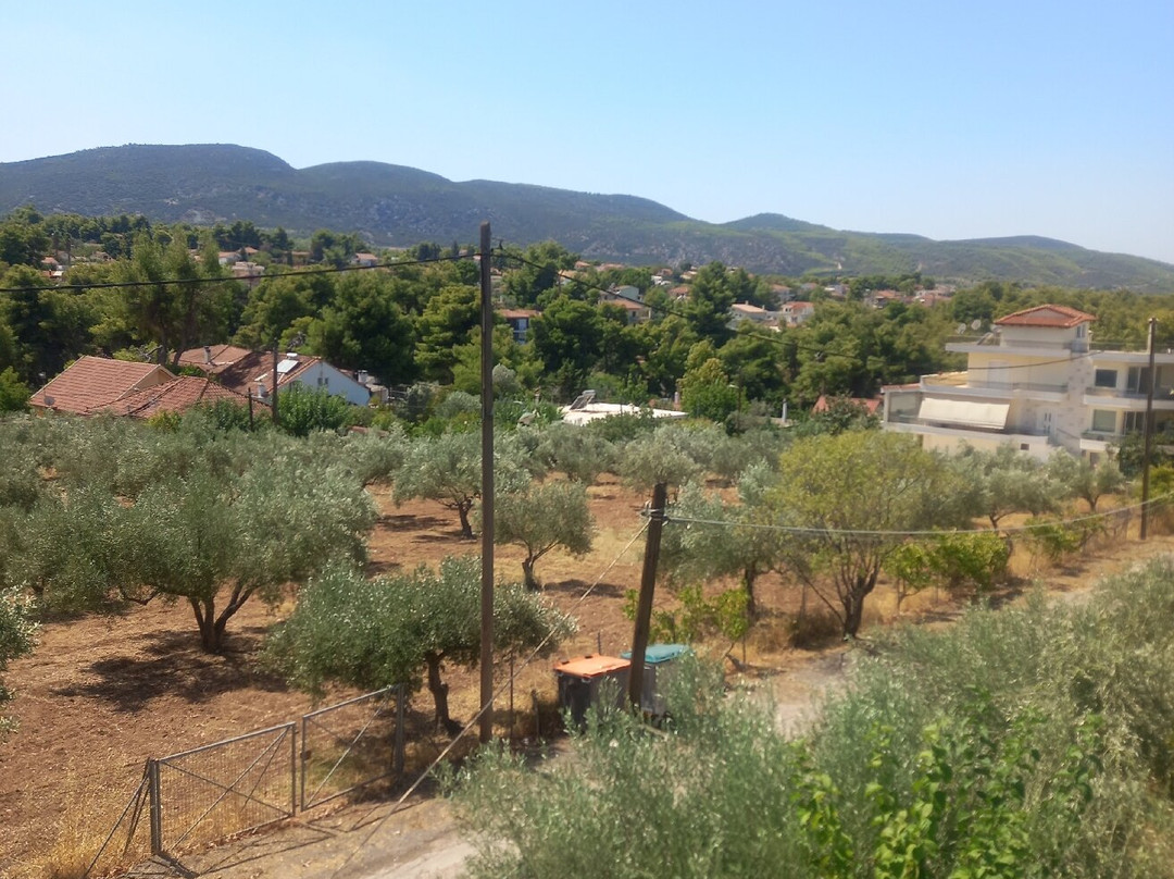 Paradise Hotel主图