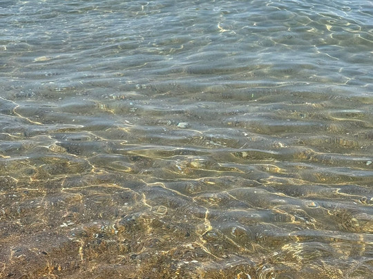 Stabilimento Balneare Tortuga Anzio-安济奥必去景点