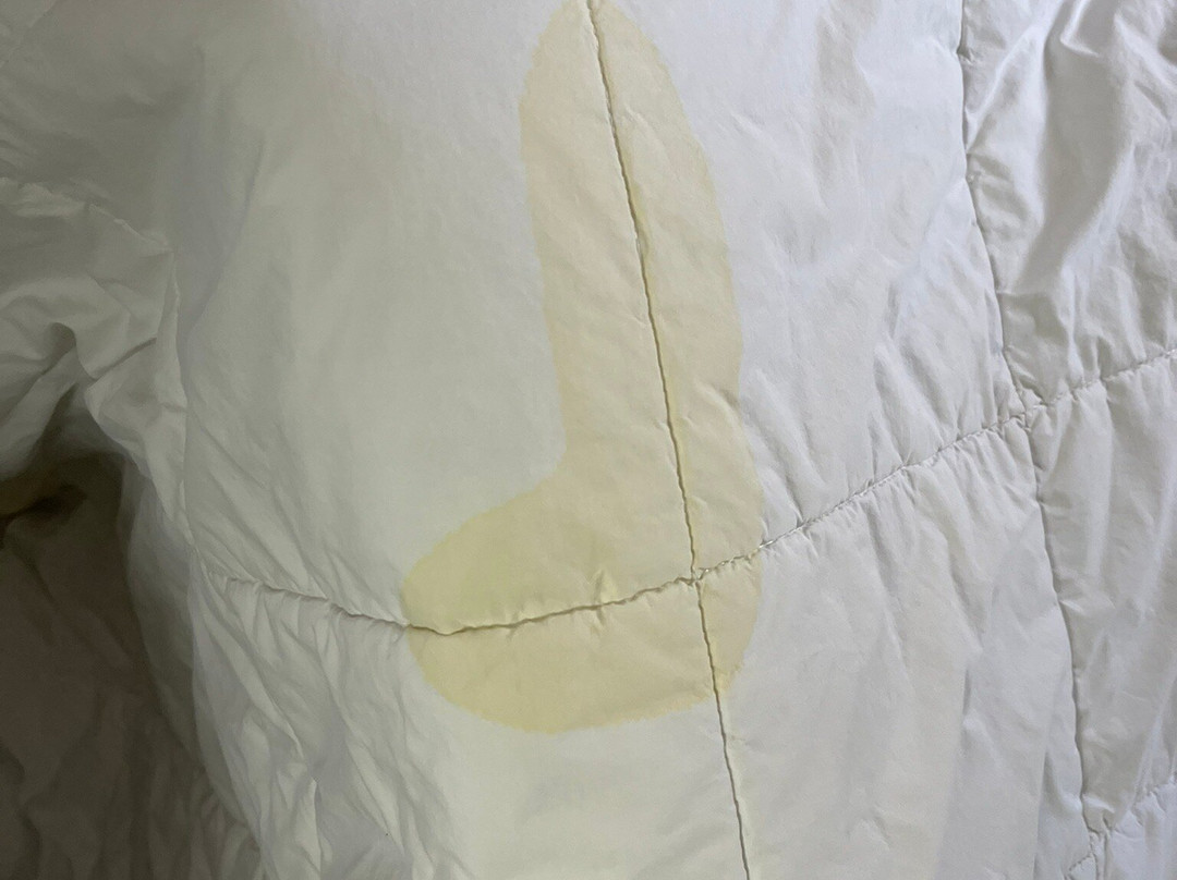 Quality Inn Selma - Smithfield主图