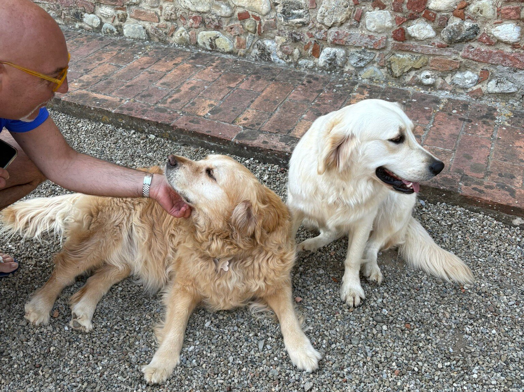 菲比安诺农场酒店主图