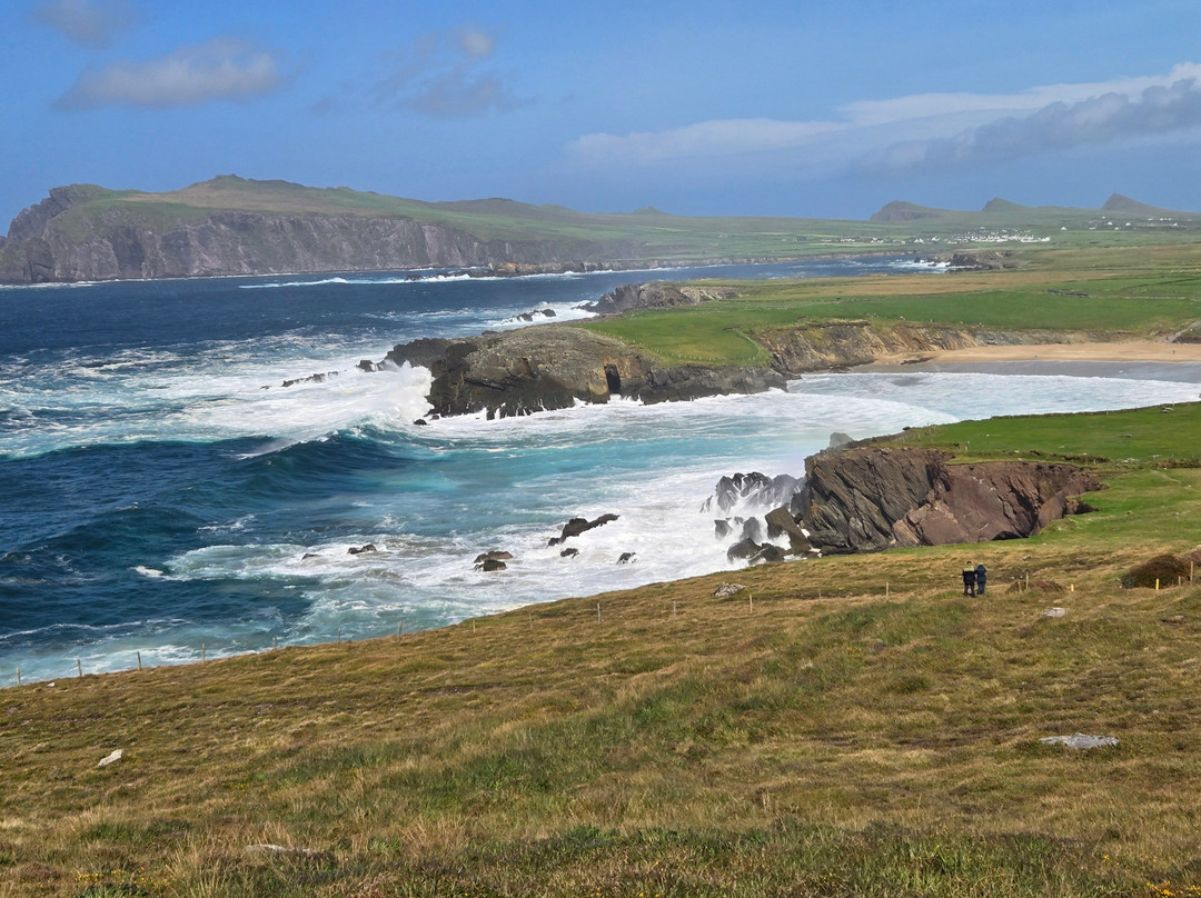 Emerald Irish Tours-Kilkee必去景点
