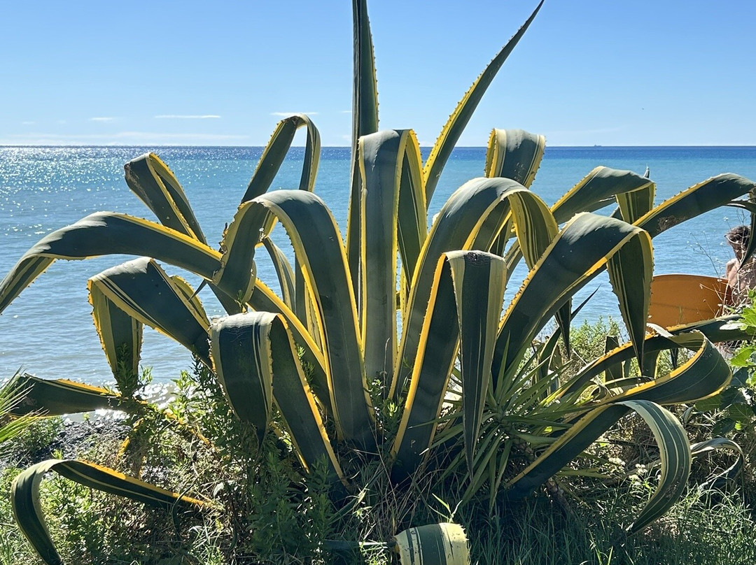Rent a bike riviera Ligure-Arenzano必去景点