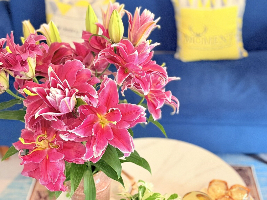 Hero massage spa-Phuoc My必去景点