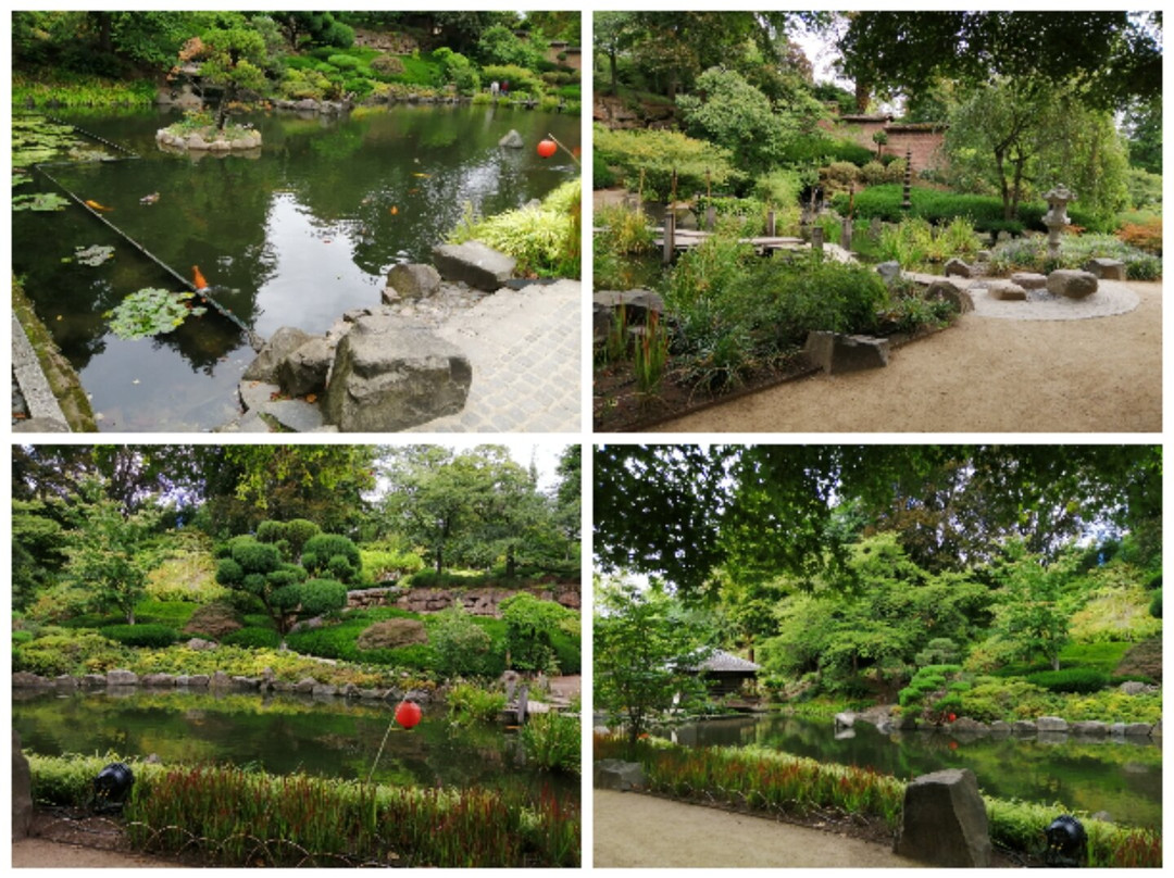 Japanischer Garten-凯撒斯劳滕必去景点