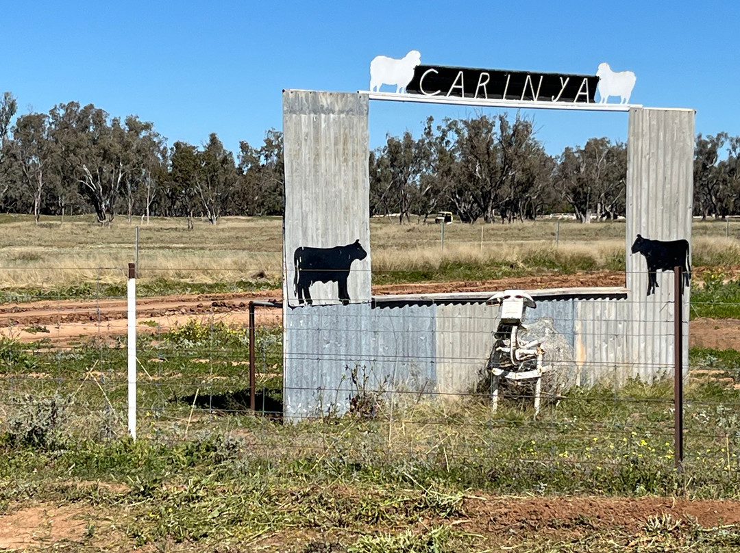 Carinya Station Farm Stay-Lightning Ridge必去景点