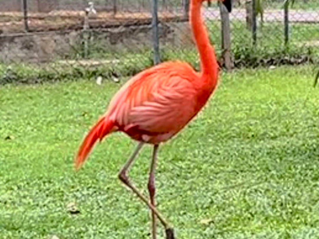 Birds Research Center & Resort-Hambantota必去景点